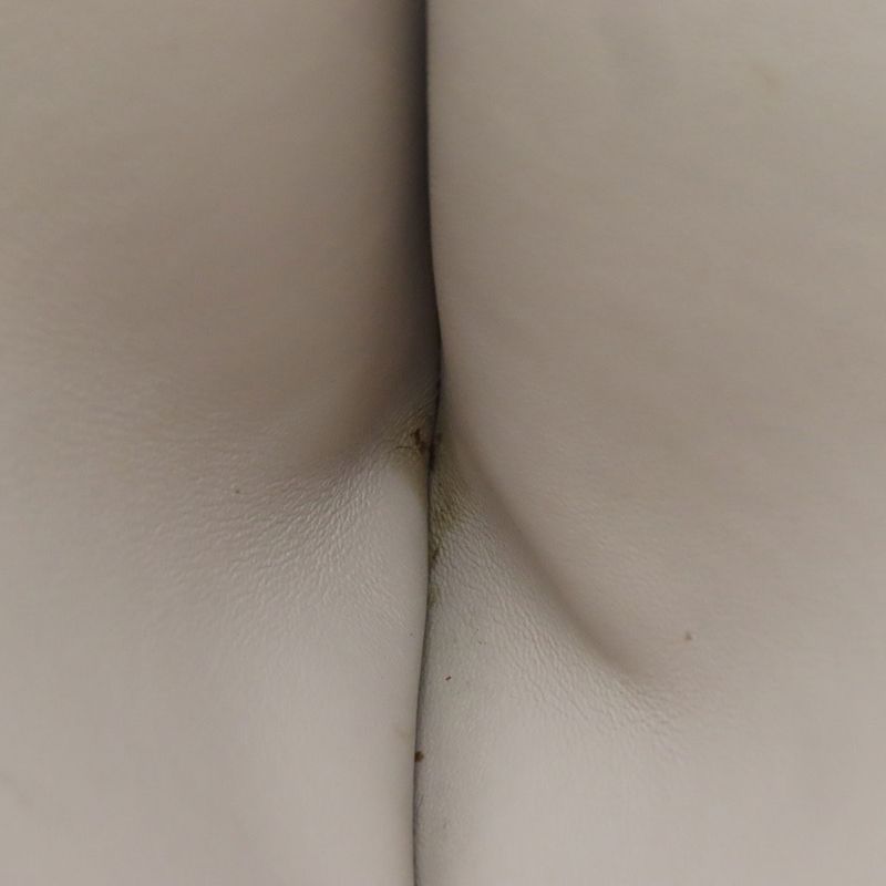 Christian DIOR Lady Dior 2WAY Handbag Calf Women Pink Leather Strap Crossbody