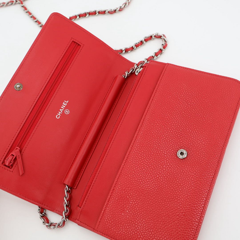 Chanel Chain Wallet Shoulder Bag