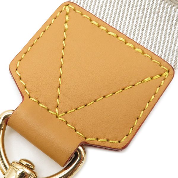 Louis Vuitton 2way Bag Sac Plastic Messenger Monogram Stripe Monogram Stripe