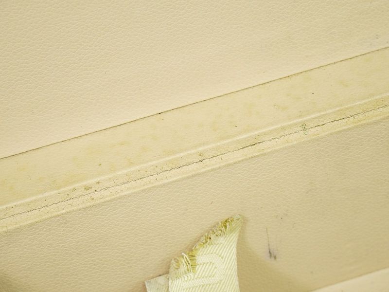 Authentic Louis Vuitton LV Bisten 50 Monogram Trunk Travel Bag Handbag Brown