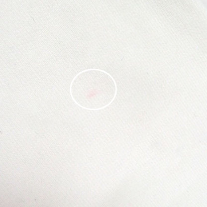 DIOR Homme 23SS 313j699a0531 Logo Embroidery Sweatshirt White M Made In Italy