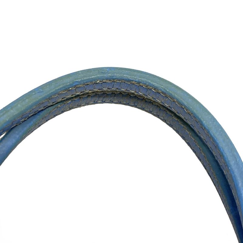 Goyard Saint Louis PM Blue×white×multi Leather