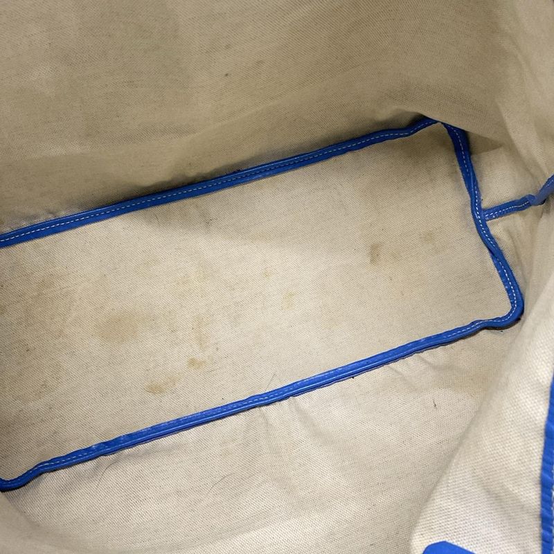 Goyard Saint Louis PM Blue×white×multi Leather