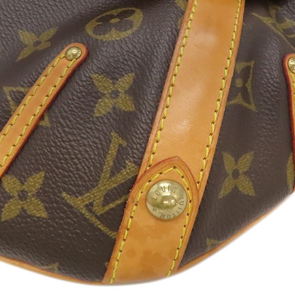 Louis Vuitton Shoulder Bag Leonor Monogram Canvas Monogram Gold Hardware Brown