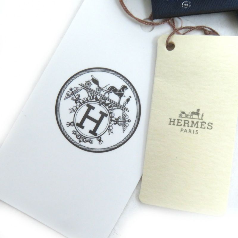 Hermes H693245t Rectangle Imprimeur Flou Ample Flou Cashmere Silk Guris