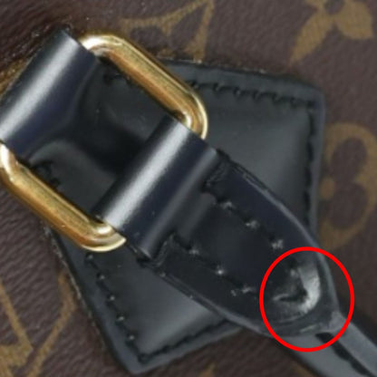 Louis Vuitton Monogram Handbag Phoenix PM Brown