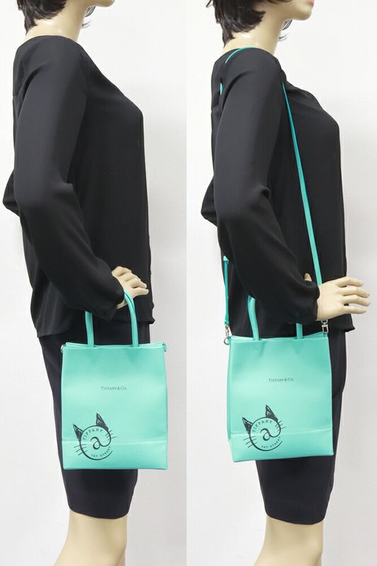 Tiffany & Co Handbag Shoulder Bag Cat Street Small Shopping 2WAY Bag Calf