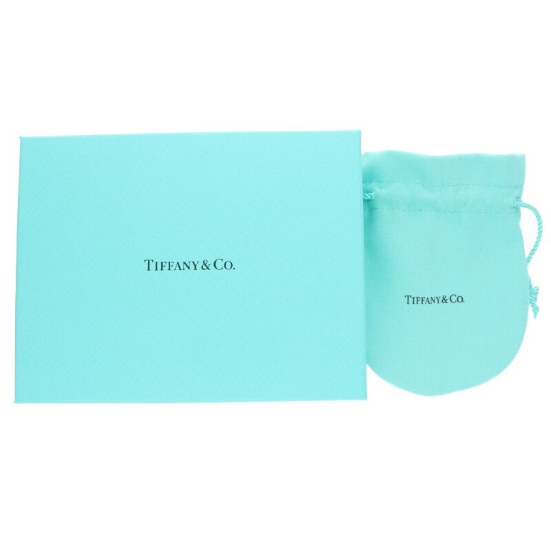 Tiffany & Co Atlas X Closed Circle Pendant Necklace Men's