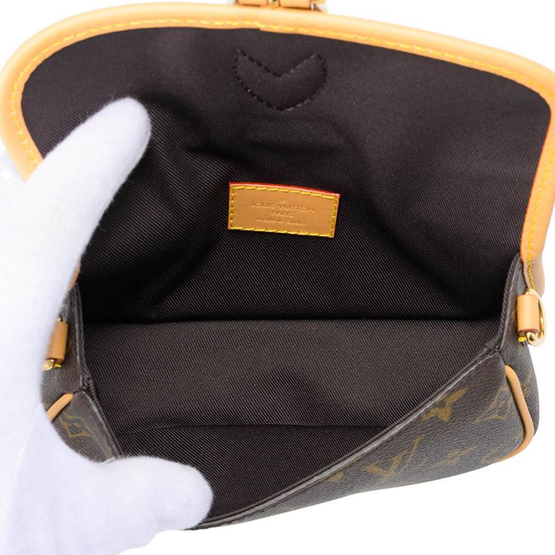 Louis Vuitton Shoulder Bag Nano Diane Brown