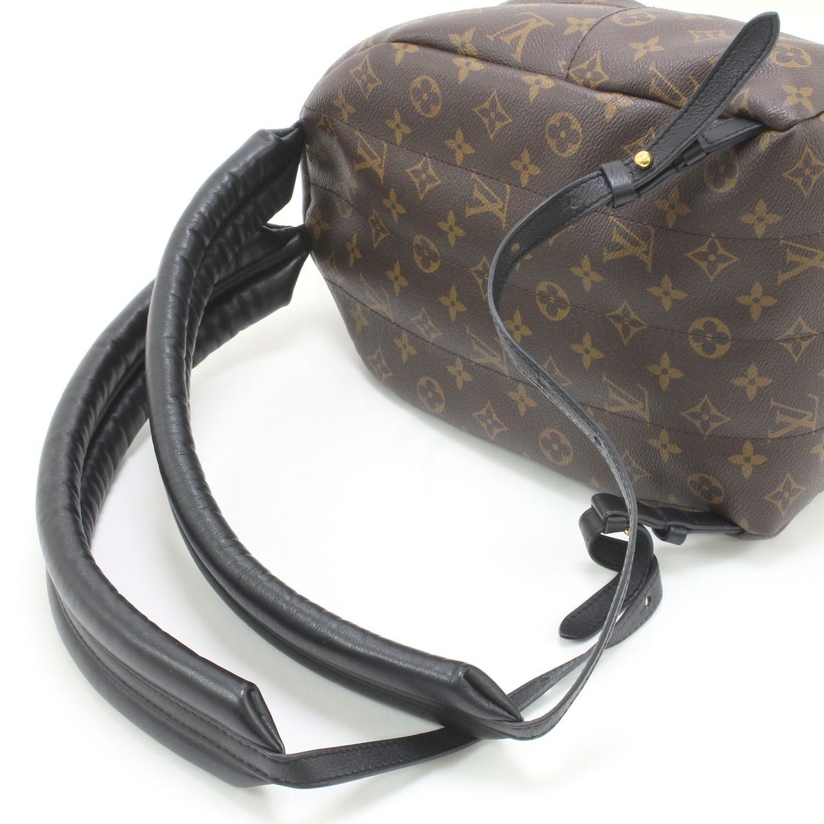Louis Vuitton Monogram Reverse Palm Springs Backpack PM
