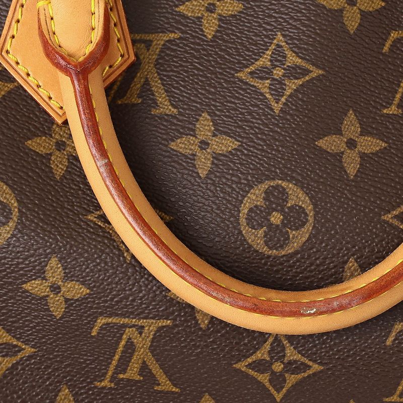 Louis Vuitton Handbag Speedy 30 Brown Rank SA