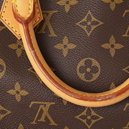 Louis Vuitton Handbag Speedy 30 Brown Rank SA