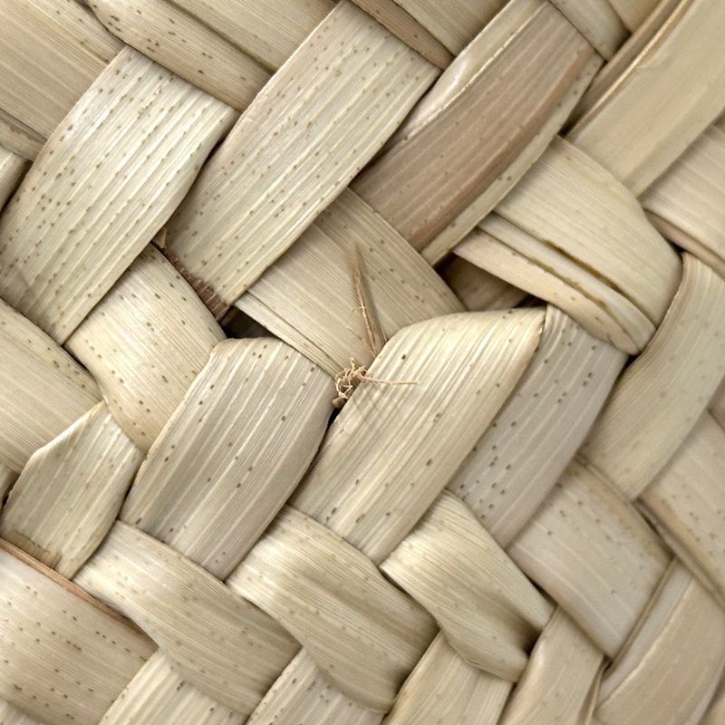 Celine Bag Women's Brand Teen Triomphe Handbag Shoulder Bag 2way Raffia Classic