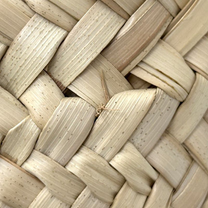 Celine Bag Women's Brand Teen Triomphe Handbag Shoulder Bag 2way Raffia Classic