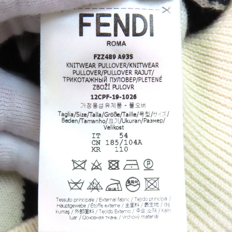 Fendi Fzz489 100% Wool FF Motif Total Pattern Crew Neck Long Sleeves Knit