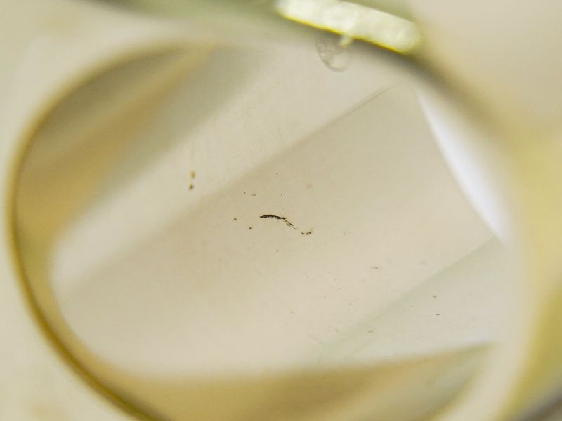 Authentic Chanel Coco Mark Ring Size 10 GP Gold Plated White Black Coco Mark