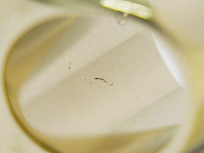 Authentic Chanel Coco Mark Ring Size 10 GP Gold Plated White Black Coco Mark