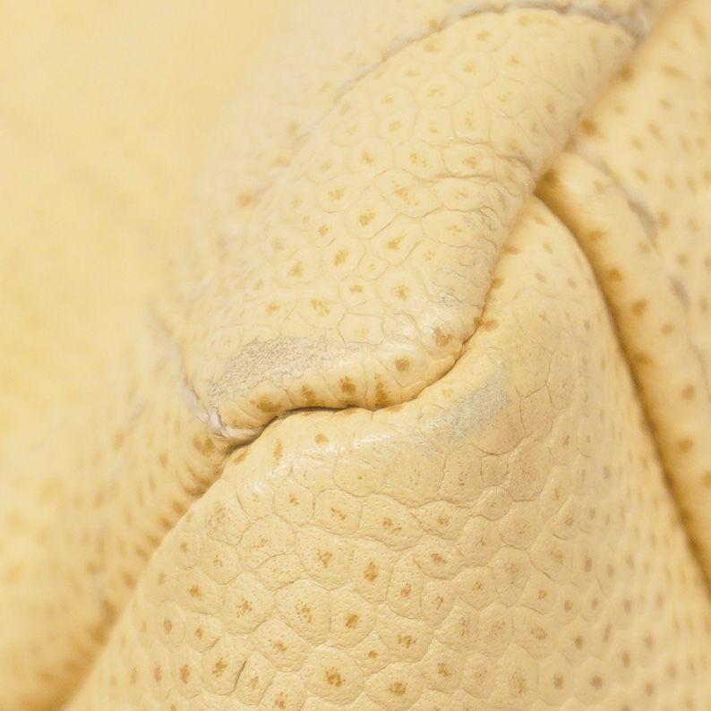 Chanel Shoulder Bag Matelasse Caviar Skin Beige Chien Pan Gold Hardware Women