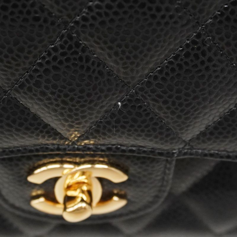 Chanel Shoulder Bag Matelasse Caviar Skin Black Chien Pan Gold Hardware Women