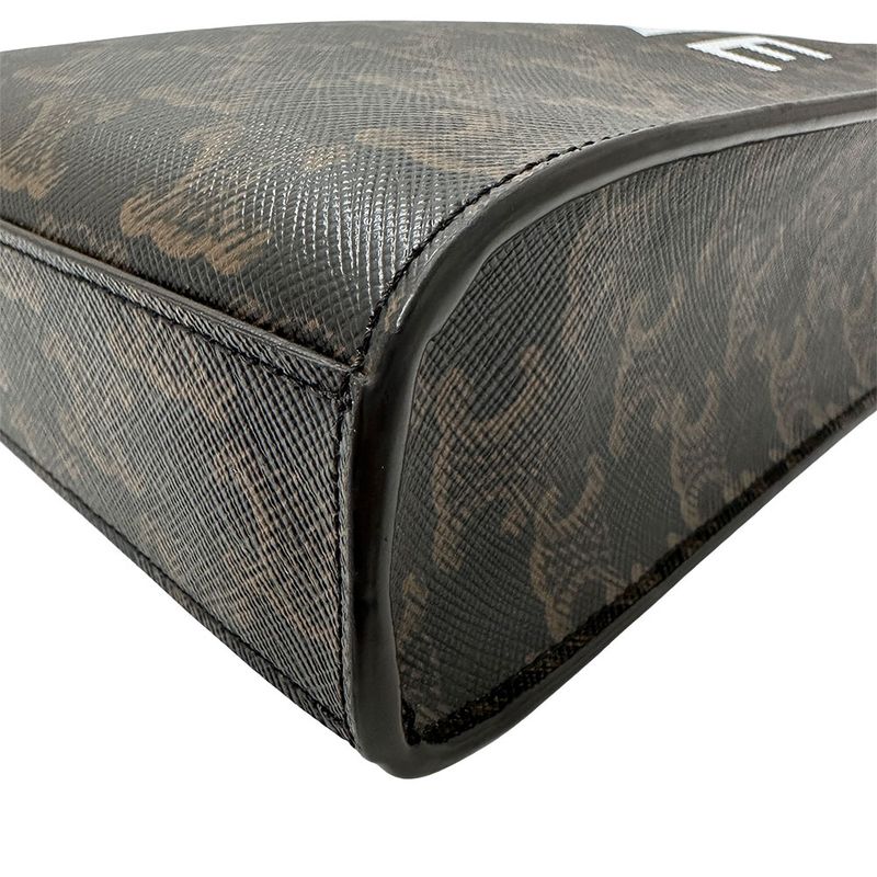 Celine Bag Women's Brand Handbag Shoulder Bag 2way Triomphe Canvas Triomphe