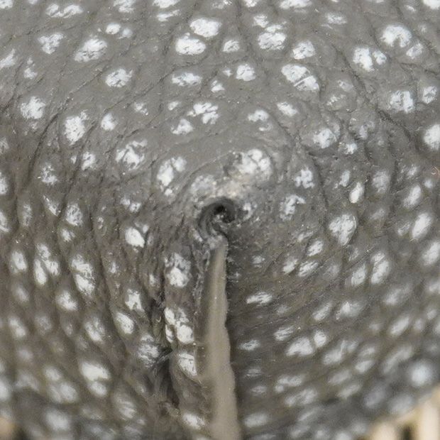 Louis Vuitton Shoulder Bag Monogram Soft Trunk Wallet M81776 Black Men's