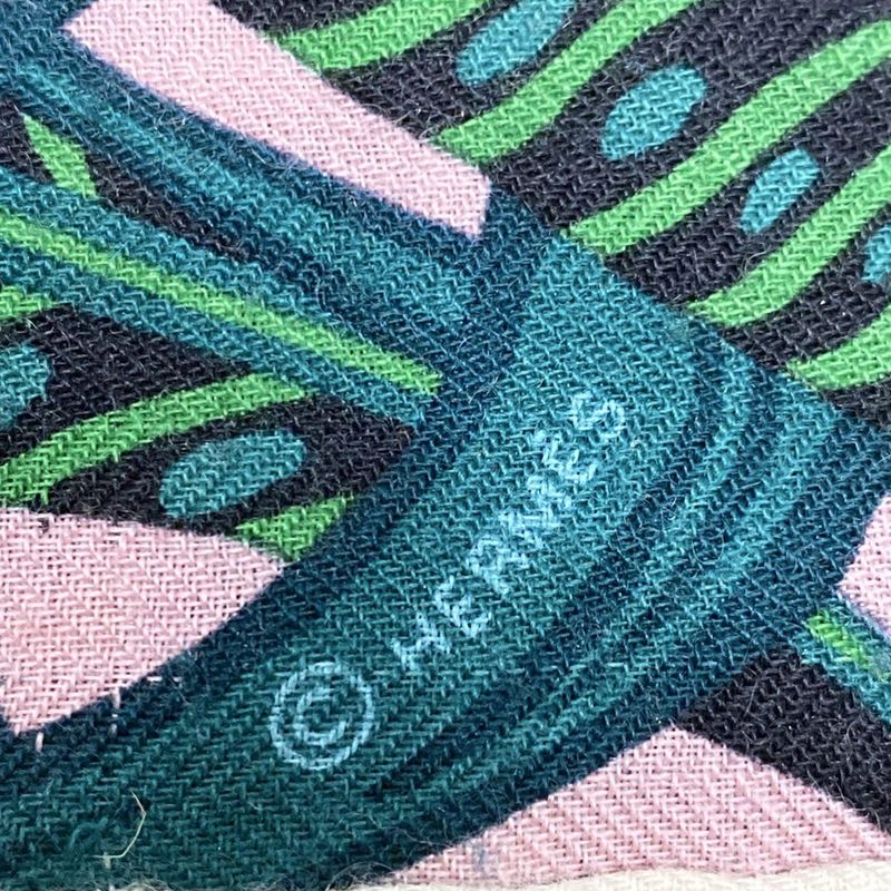 Hermes Stole (shawl) Carre Geant/shawl Carre 140 Green×red×multi Jaguar Quetzal